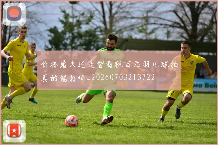 价格屠夫还是智商税百元羽毛球拍真的能打吗_20260703213722